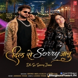 Dil Se Sorry Ba Jaanu Hamaar